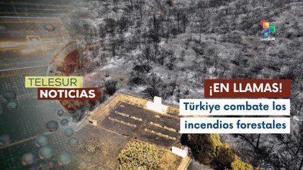 Parcelas fértiles de la ciudad de Ödemis consumidas por el fuego en Türkiye