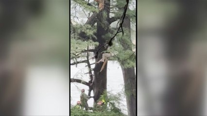 Opferzahl nach Flutkatastrophe in Texas steigt auf mehr als 100