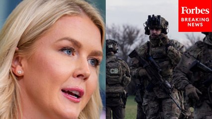 Reporter Presses Karoline Leavitt On Ukraine Weapons Pause Amid Intense Russian Attacks