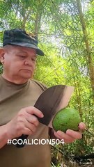 ¡A puros huevos!' sobrevive en el exilio el general Romeo Vásquez