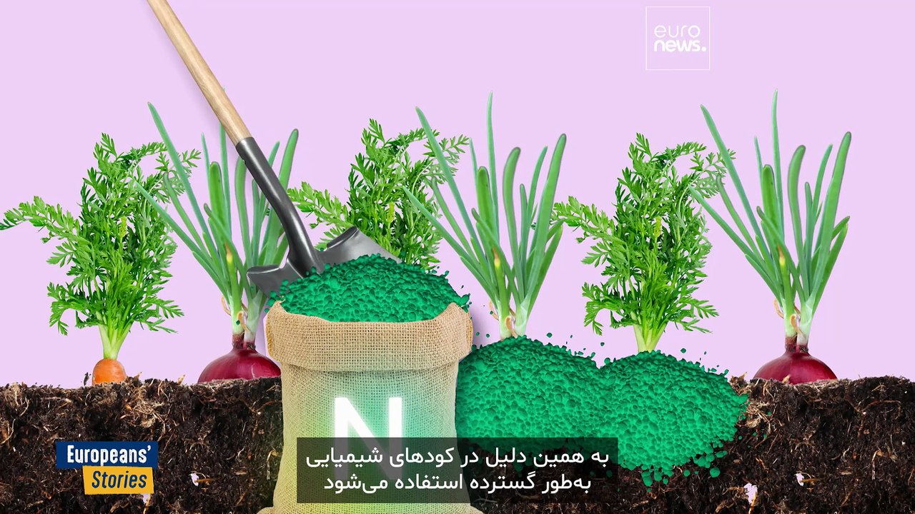 صنعت کشاورزی هلند در بوته‌ی آزمایش اهداف زیست‌محیطی اتحادیه‌ی اروپا