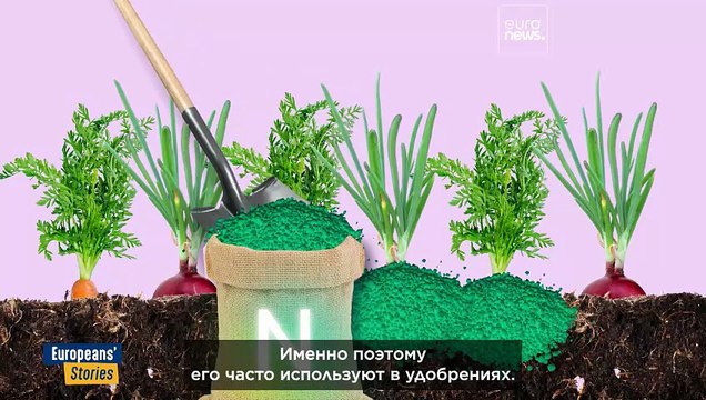 Много навоза и мало действий: Нидерланды против «зеленых» целей ЕС