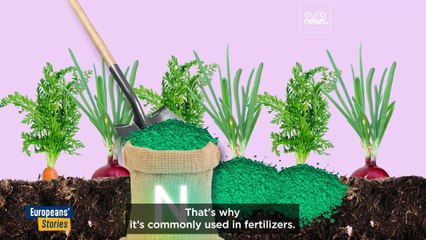 Too much manure, too little action: Dutch farming tests EU green goals