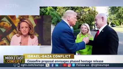 Israel-Gaza conflict: "Hamas's military has been diminished  considerably"