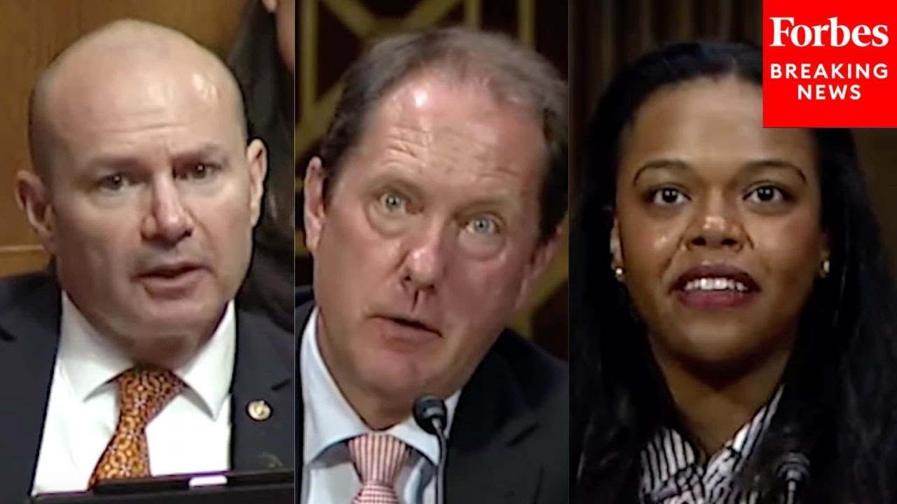 Mike Lee Asks Witnesses About Competition And Privatization In Healthcare Industry