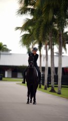 Michelle Mills X Sales horse