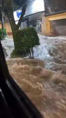 Man Standing Amidst Flood Gets Hit by Wave and Falls
