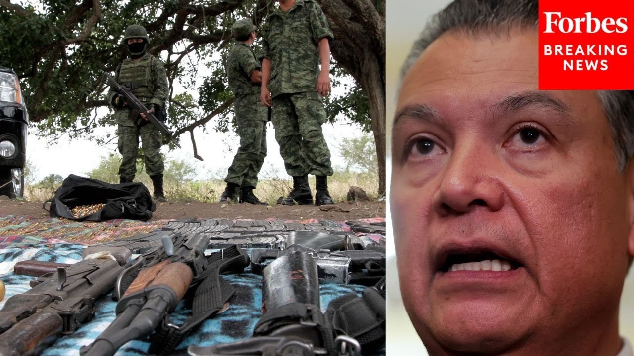 Alex Padilla Discusses Ways To Stop Weapons Trafficking From The US To Mexican Cartels