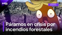 Incendios forestales en Colombia_ Páramo Berlín  fuertemente afectado | Pulzo