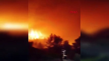 O ülkede 2 bin hektar kül oldu