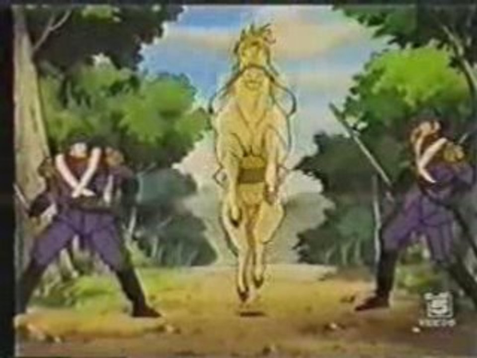 Zorro