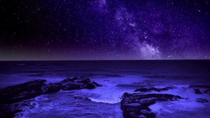 Nuit Bleue et Piano Apaisant | 4K | Veillée Nocturne au Bord de l’Eau