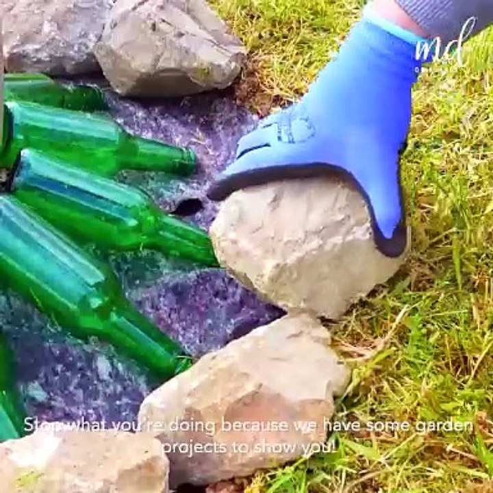 DIY easy garden projects 🏡🌳