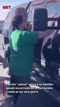 Una familia quedó varada cuando accidentalmente dejaron las llaves dentro de su camioneta junto con su perrito. Luego de varios intentos por atraer su atención, la única forma de lograr que se acercara a la puerta fue mostrarle a otro perrito