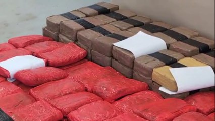 tn7-oij-realiza-decomiso-en-camion-en-puntarenas-080725