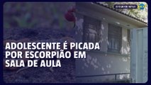 Adolescente é picada por escorpião em sala de aula