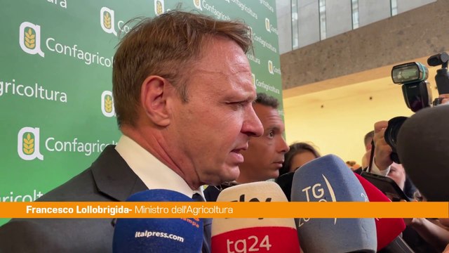 Agricoltura, Lollobrigida Evitare che l'Ue faccia scelte folli