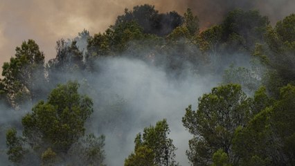 El viento complica la extinción del fuego en Paüls (Tarragona)