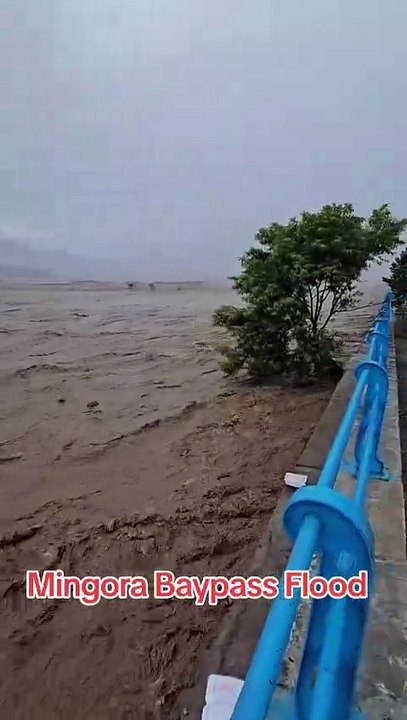 Swat flood |swat valley update | swat selab news