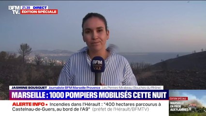 Incendie à Marseille: un quartier des Pennes-Mirabeau complètement calciné