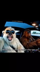 Yeti enjoying Ferrari with friend. do parties and got accident.