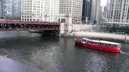 Experience the Stunning Chicago Skyline & St. Patrick’s Day River Dye 🌆🍀 (March 14-15, 2025)