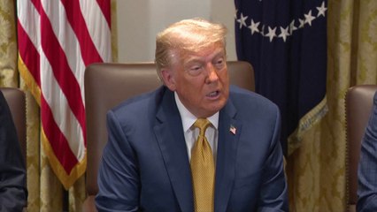 미, 반도체·의약품 관세 이르면 이달 말 결정...구리 50% 관세 / YTN