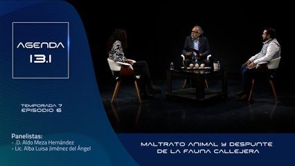 T7 Ep.06 - Agenda 13.1  | Maltrato animal y despunte de la fauna callejera