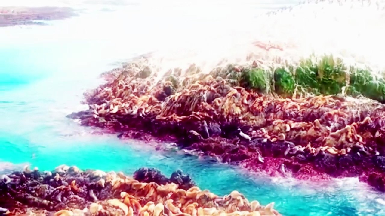 Howie Day - Collide - Spanish and English Lyrics