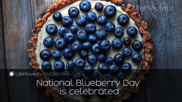 Where to Donate to Texas Flood Victims, Pearl Jam Drummer Matt Cameron Exits Band, Denise Richards Splits from Husband Aaron Phypers