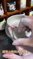 Hand-pinched pottery bow,Crayon Xiaoxin ✨