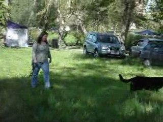 MOV01669 CANT Suite sans laisse