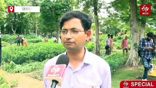 प्रवासी पक्षियों की आरामगाह सांभर झील को चार नदियां कर रही लबालब, पानी की आवक से लौटी रौनक