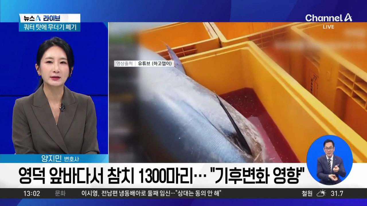 대형 참치 1300마리…눈물의 ‘전량 폐기’, 왜?
