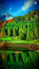 lv_7389761363628838151_20250706154153