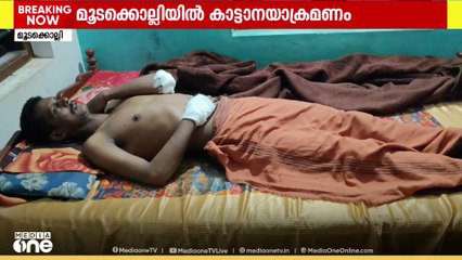 വയനാട് മൂടക്കൊല്ലിയിൽ കാട്ടാന ആക്രമണത്തിൽ യുവാവിന് പരിക്ക്...