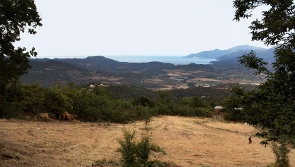 Il faut regarder le feu ou brûler dedans | movie | 2022 | Official Trailer