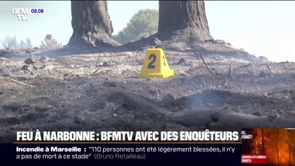 Incendie à Narbonne: les enquêteurs à pied d'œuvre pour déterminer l'origine du feu