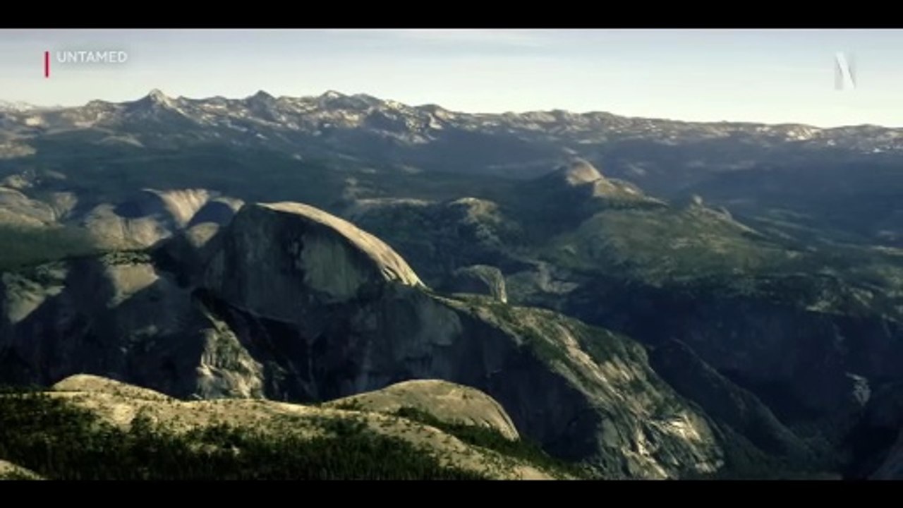 Untamed Trailer OV
