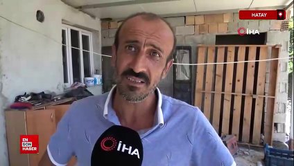 Hatay'da 1 buçuk metrelik kertenkele kameralara yakalandı