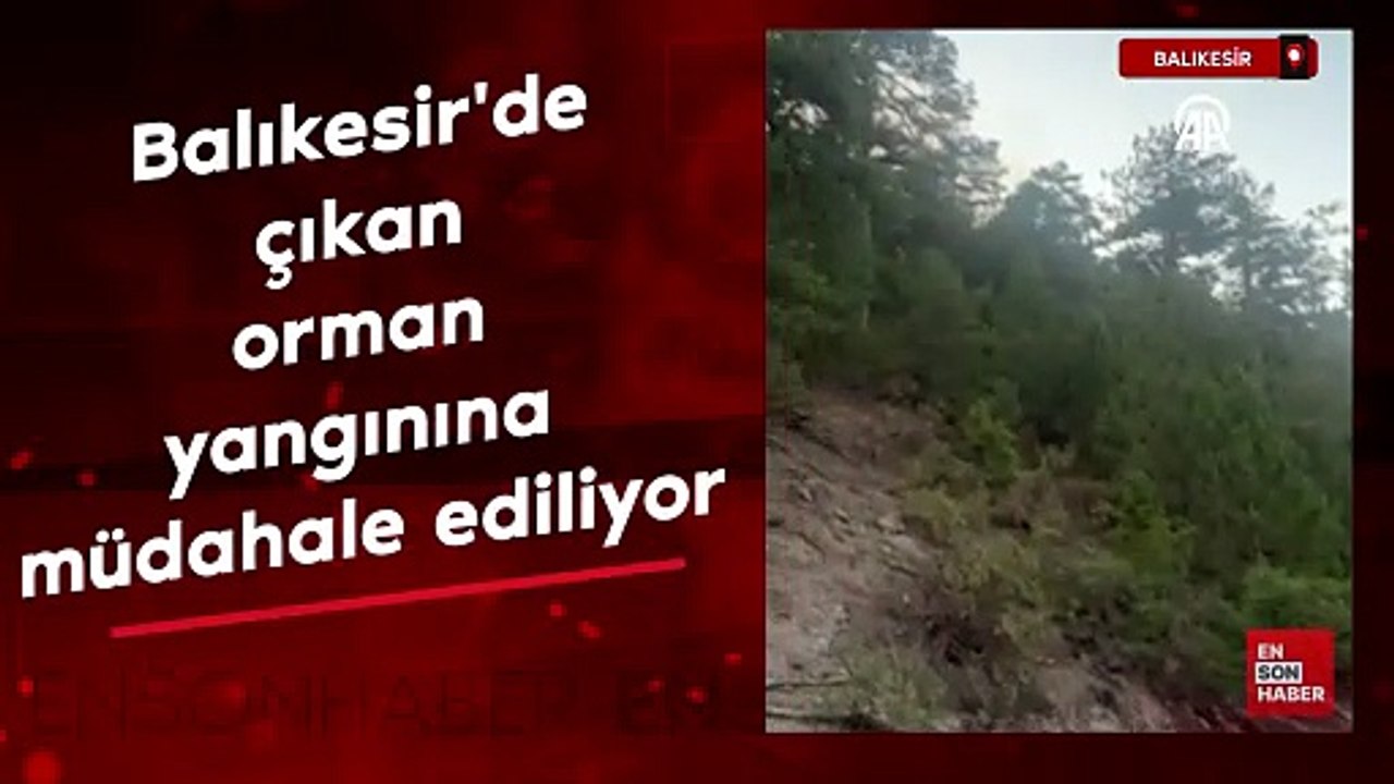 Balıkesir'de çıkan orman yangınına müdahale ediliyor