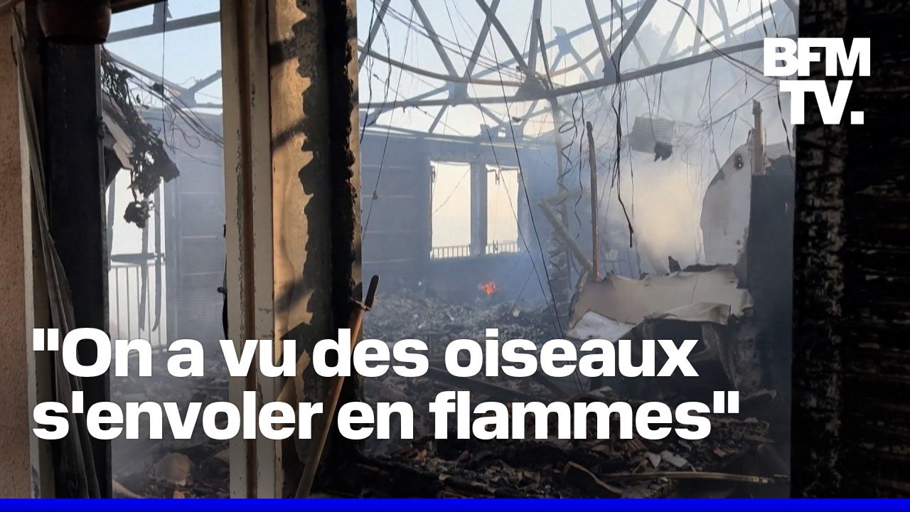 Incendie à Marseille: les images impressionnantes des dégâts