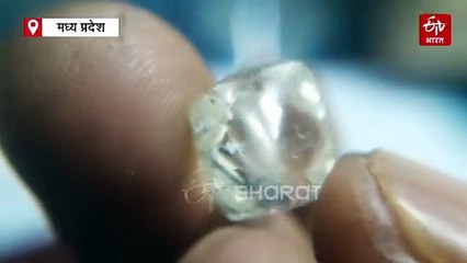 पन्ना में हीरे की तमन्ना पूरी, पहले ही वार में चमचमाई मजदूर की किस्मत, डायमंड ले सीधे भागा