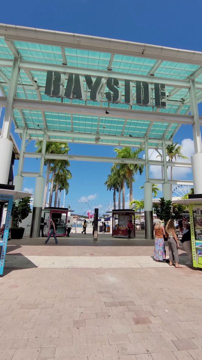 “Secretos escondidos en Bayside de Miami”