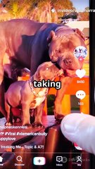 #AICelebrities #DigitalResurrection #DeepfakeDrama #VirtualAfterlife #AICloneWars #DeadButOnline #FameAfterDeath #TechVsEthics #DigitalNecromancy #BlackMirrorVibes #AIRevenant #CelebrityClones #WatchTillTheEnd #DigitalImmortality #ConsentAfterDeath #Futur