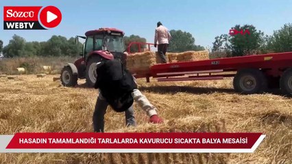 Edirne'de hasadın tamamlandığı tarlalarda kavurucu sıcakta balya mesaisi