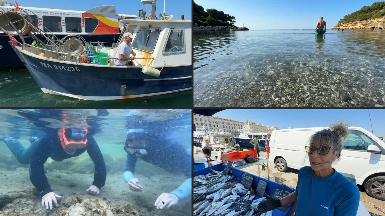 Wie sich Fische und Menschen an den Klimawandel anpassen