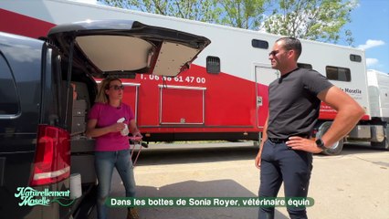 Dans les bottes de Sonia Royer, vétérinaire équin