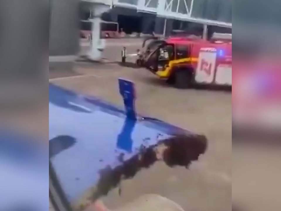 Riesiger Bienenschwarm legt Flugzeug lahm