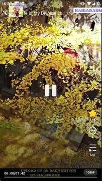 #shortfilms My Wife is My Divorce Lawyer #shortfilms #shorttv #shorthot #shortdailymotion - Tranquil Mind Space